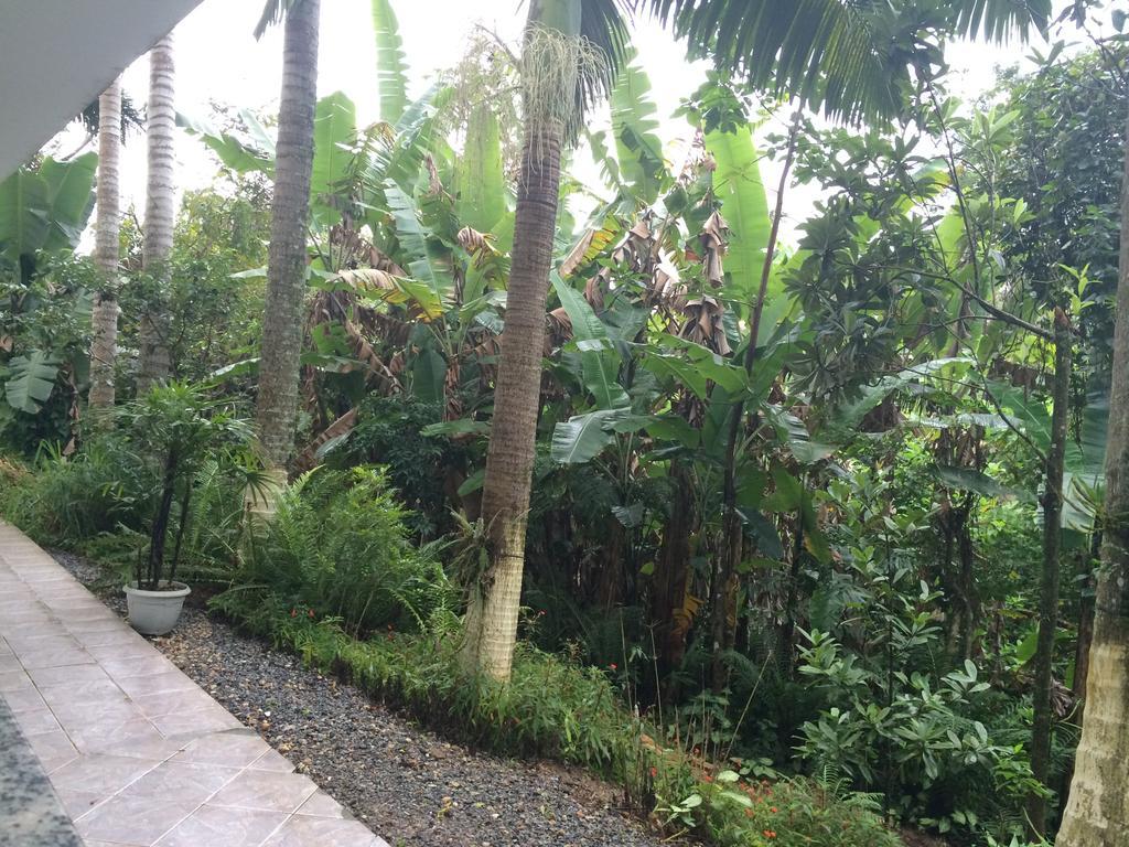 Hotel Pousada Reimar บัลเนอาริโอ กังโบริว ภายนอก รูปภาพ